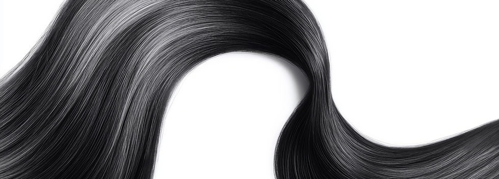 Black hair isolated on white background. Long ponytail..jpg