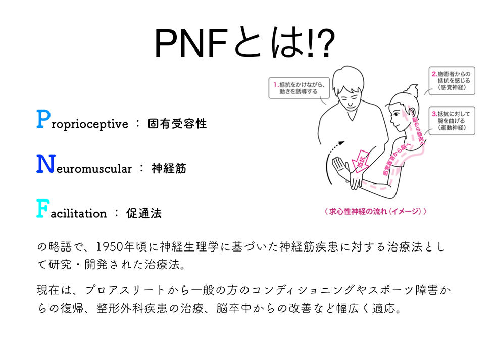 ☆時代が求める脳と神経に着目した運動手技療法☆