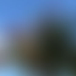 お盆期間も営業しております。