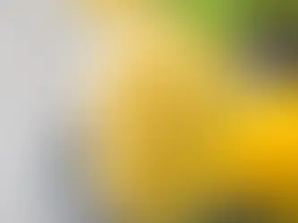 Smootie tropical