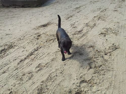 388475_153710664794802_2062680248_n