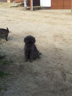 246562_153710814794787_25373760_n