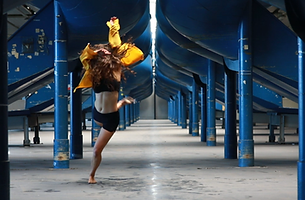 Profi Training: Training for professional Dancers, Linz, Upper Austria