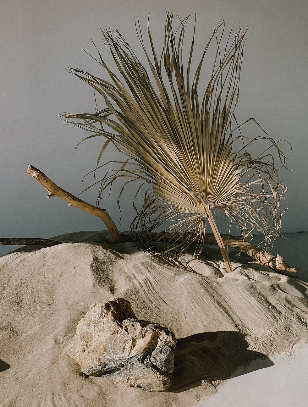 Sandlandschaft mit Treibholz und Steinen