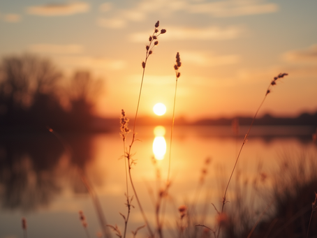 Sonnenuntergang am See, Friedpartner.ch