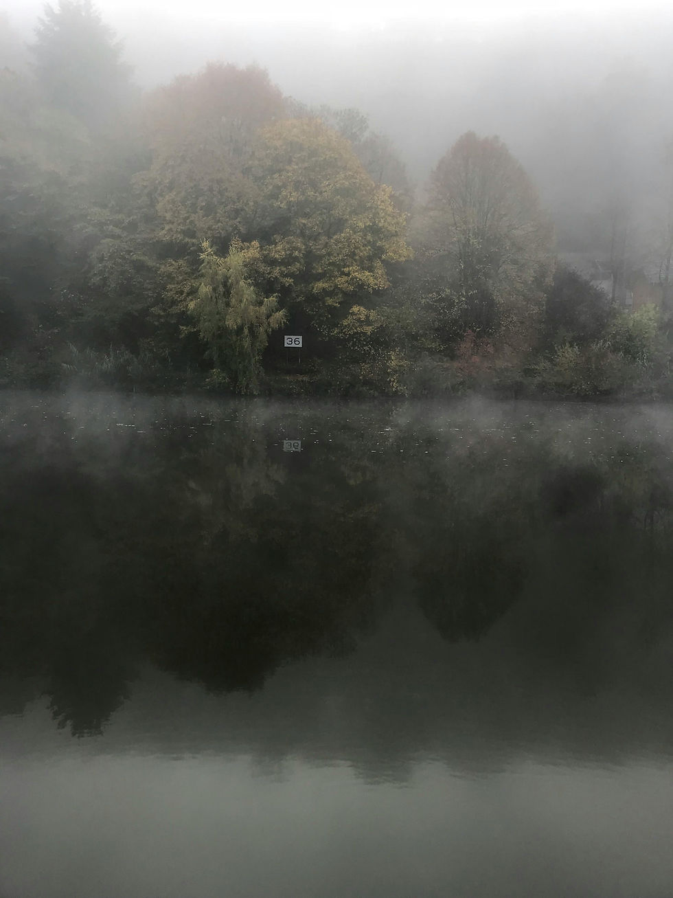 Wald mit Teich im Nebel, Ursina Fried, Brain Fog.