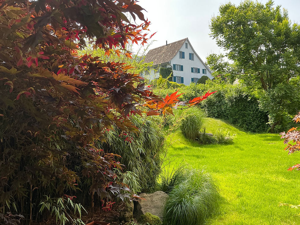 Garten, Oberrieden, ursina Fried, Entspannung, www.friedpartner.ch