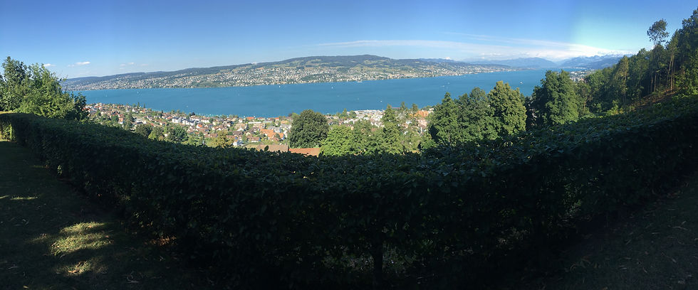 Panoramasicht vom Ebnet Oberrieden