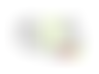 ISRA's incorporates biometric identification features