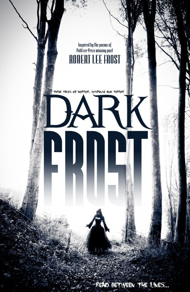 Dark Frost Novel