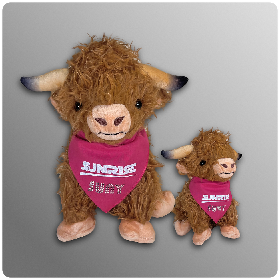 Miniaturbild: SUNRISE-Maskottchen "SUNY"