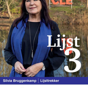 Swollwacht verkiezingsposter voor bij uw raam? vraag het aan!