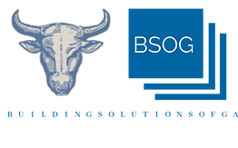 BSOG%203%20(2)_edited.png
