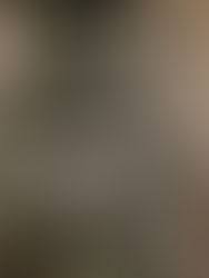 DIY Flocked Christmas Tree