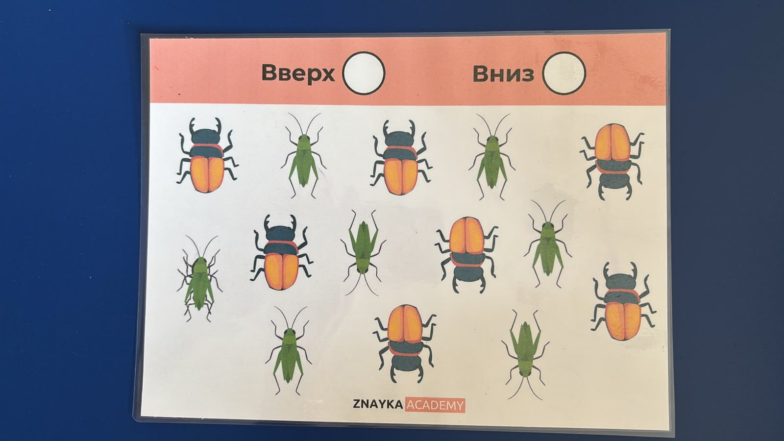 Игра: Куда ползет насекомое?