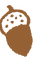 どんぐり大.png