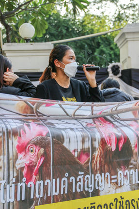 เครือบริษัทใหญ่ Millennium, Wyndham, Inspire Brands และ Marriott เคยให้คำมั่นเรื่องไข่ไก่ปลอดกรง แล้วตอนนี้อยู่ที่ไหน? นี่คือเหตุผลที่เราต้องนำเรื่องนี้สู่สาธารณะ