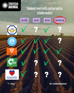 เมื่อการเลือกตั้ง 2569 ตั้งใกล้เข้ามา สวัสดิภาพสัตว์กำลังถูกมองข้ามในการสนทนานโยบายหรือไม่?