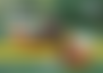 Asia Cage-Free Tracker 2025 เผยความคืบหน้าบริษัทอาหารในเอเชียพบเพียง 14.7% เดินหน้าสู่ไข่ไก่ปลอดกรงตามเป้า ขณะที่เกือบ 30% ยังไม่เปิดเผยข้อมูล