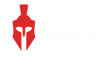 Steel Guard transparent wht.png