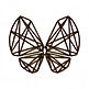 ceilk butterfly
