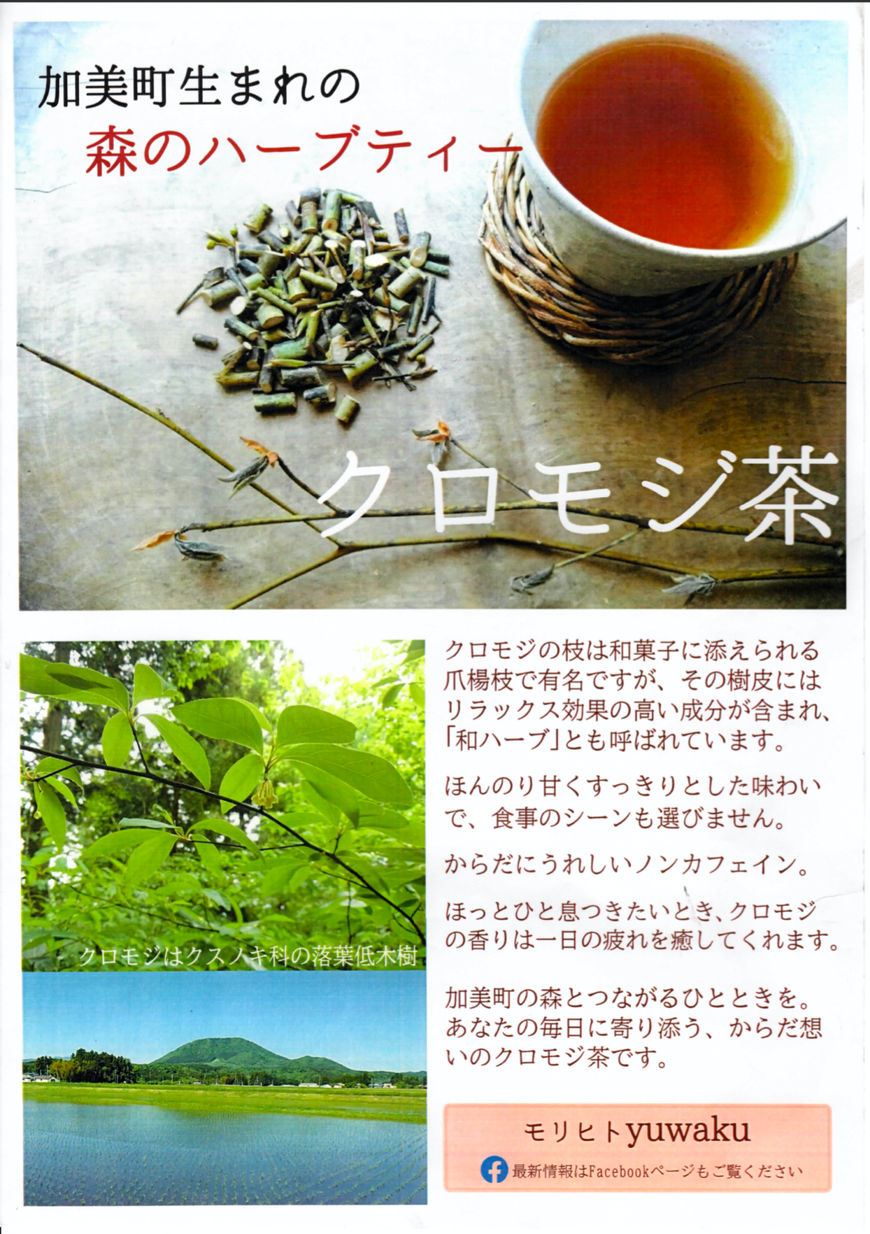 加美町生まれの森のハーブティー クロモジ茶が商品化されました 加美町生まれの森のハーブティー クロモジ茶が商品化されました
