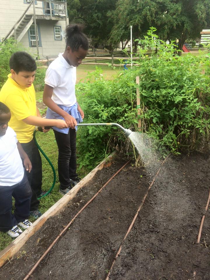 watering new seeds.jpg