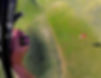 aer_edited_edited_edited_edited_edited_edited.jpg