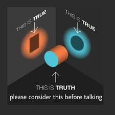 Navigating Perception vs. Perspective