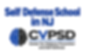 Self Defense School in NJ: Practical Self-Defense Training at CVPSD