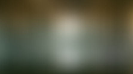 Displaced Official Selection at 68th Columbus International Film & Animation Festival