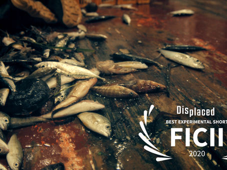Displaced Awarded Best Experimental Short Film at FICII 2020