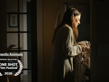 Domestic Animals Official Selection at the One Shot 24th International Short Film Festival