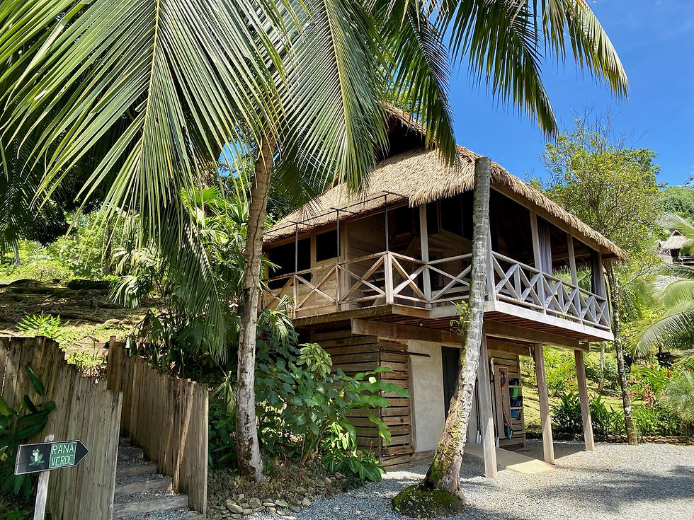 Miniatura: LUXUSNÍ EKOLOGICKÝ RESORT U MOŘE NA OSTROVĚ ISLA PASTORES