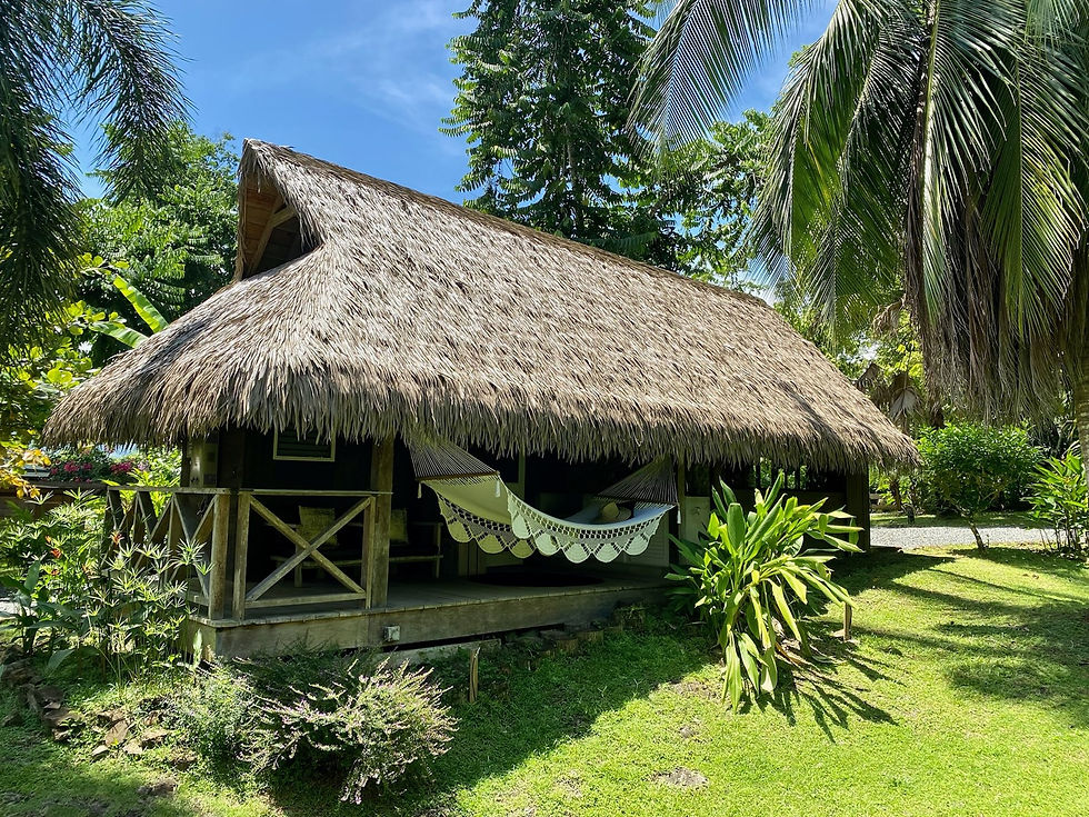 Miniatura: LUXUSNÍ EKOLOGICKÝ RESORT U MOŘE NA OSTROVĚ ISLA PASTORES