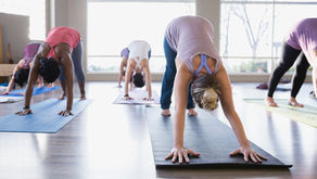 Quintessentially Downward Dog