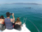 PROMENADE EN BATEAU