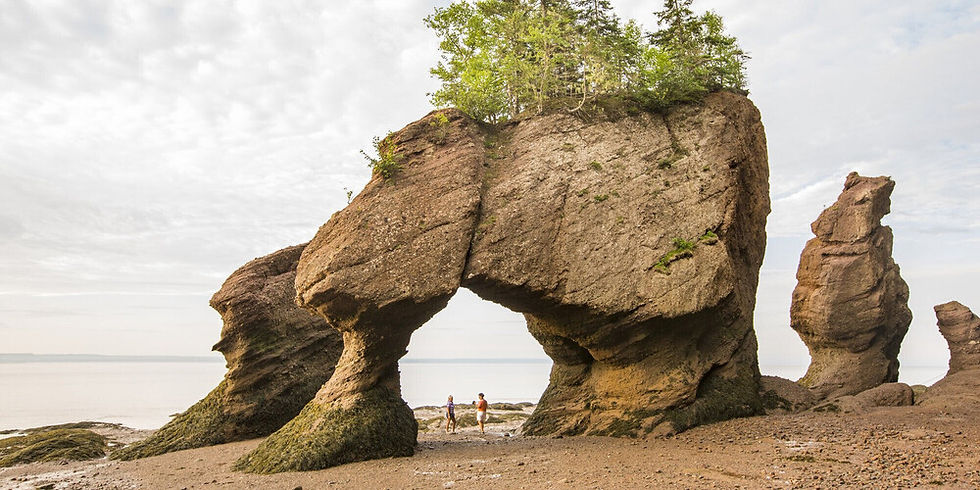 The famous Hopewell Rocks