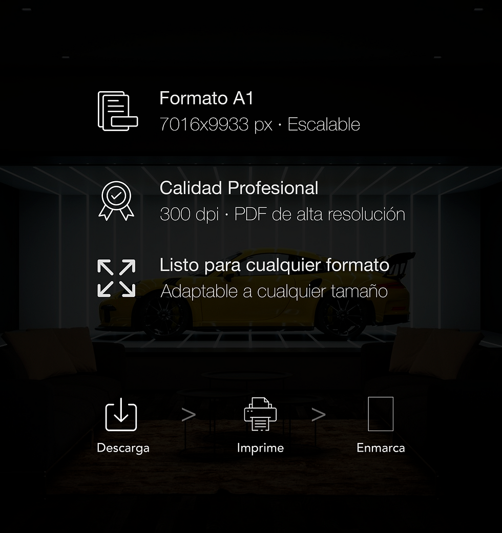 Miniatura: características posters digitales