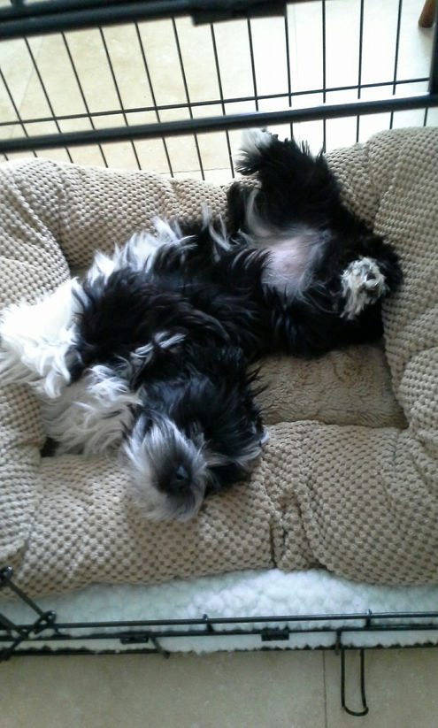 image000000 (95).jpg