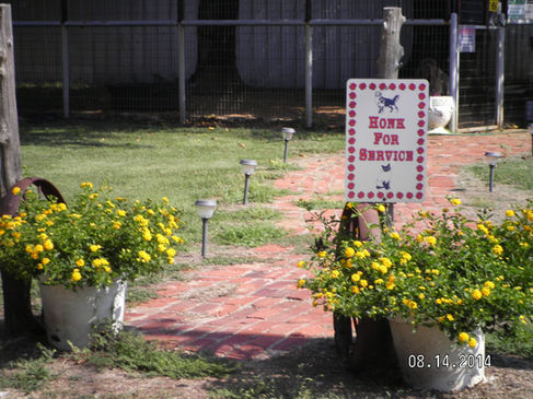 image000000 (53).jpg