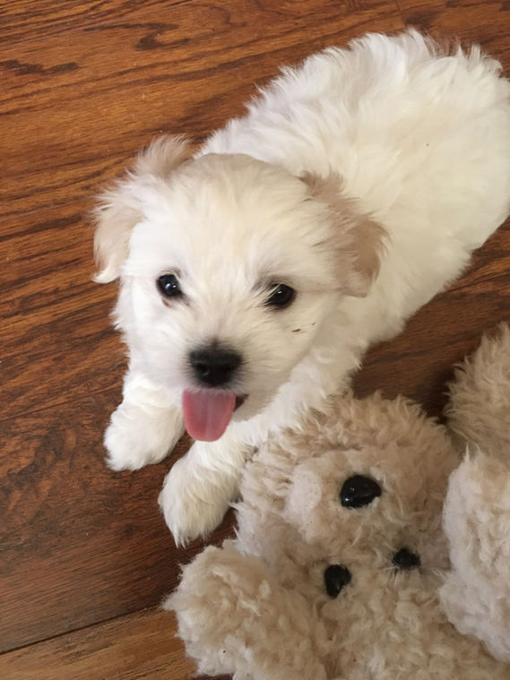 image000000 (42).jpg