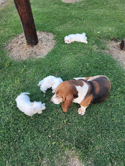 image000000 (99).jpg