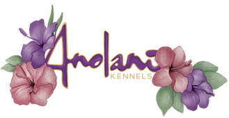 Anolani_Kennels_logo.png