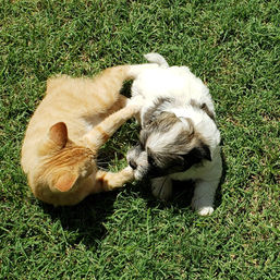 image000000 (134).jpg