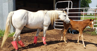 image000000 (146).jpg