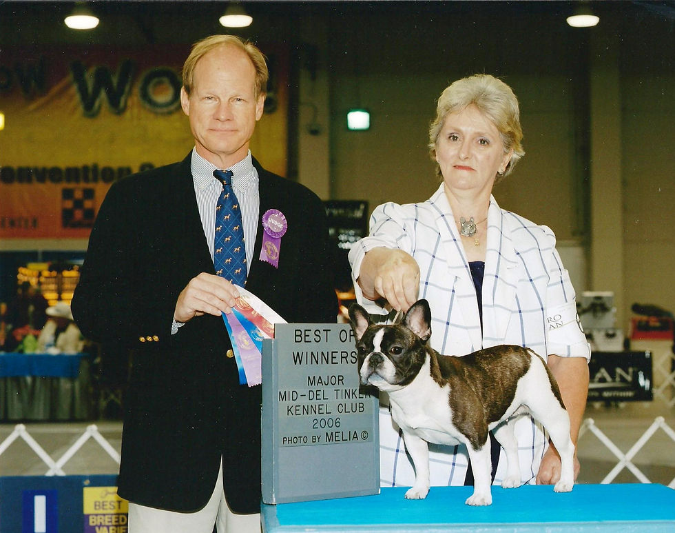 Chitawee French Bulldogs