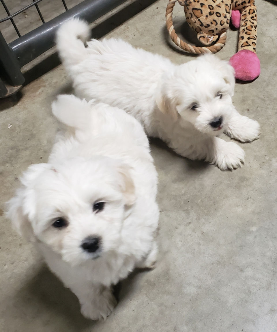 image000000 (77).jpg