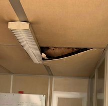 Copie de V2 R V BROCHURE SERENIT (1).png