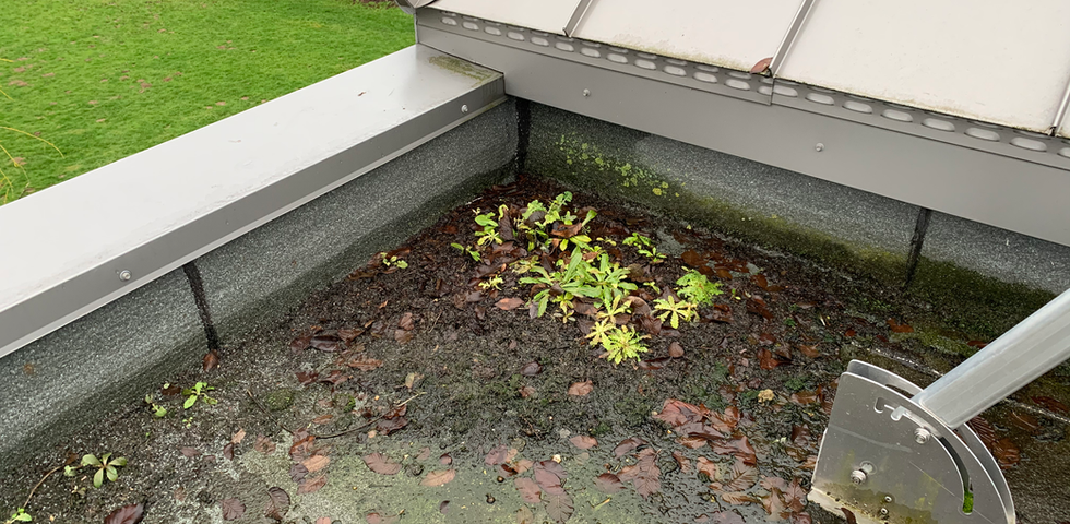 nettoyage toiture réalisé à Fréjus